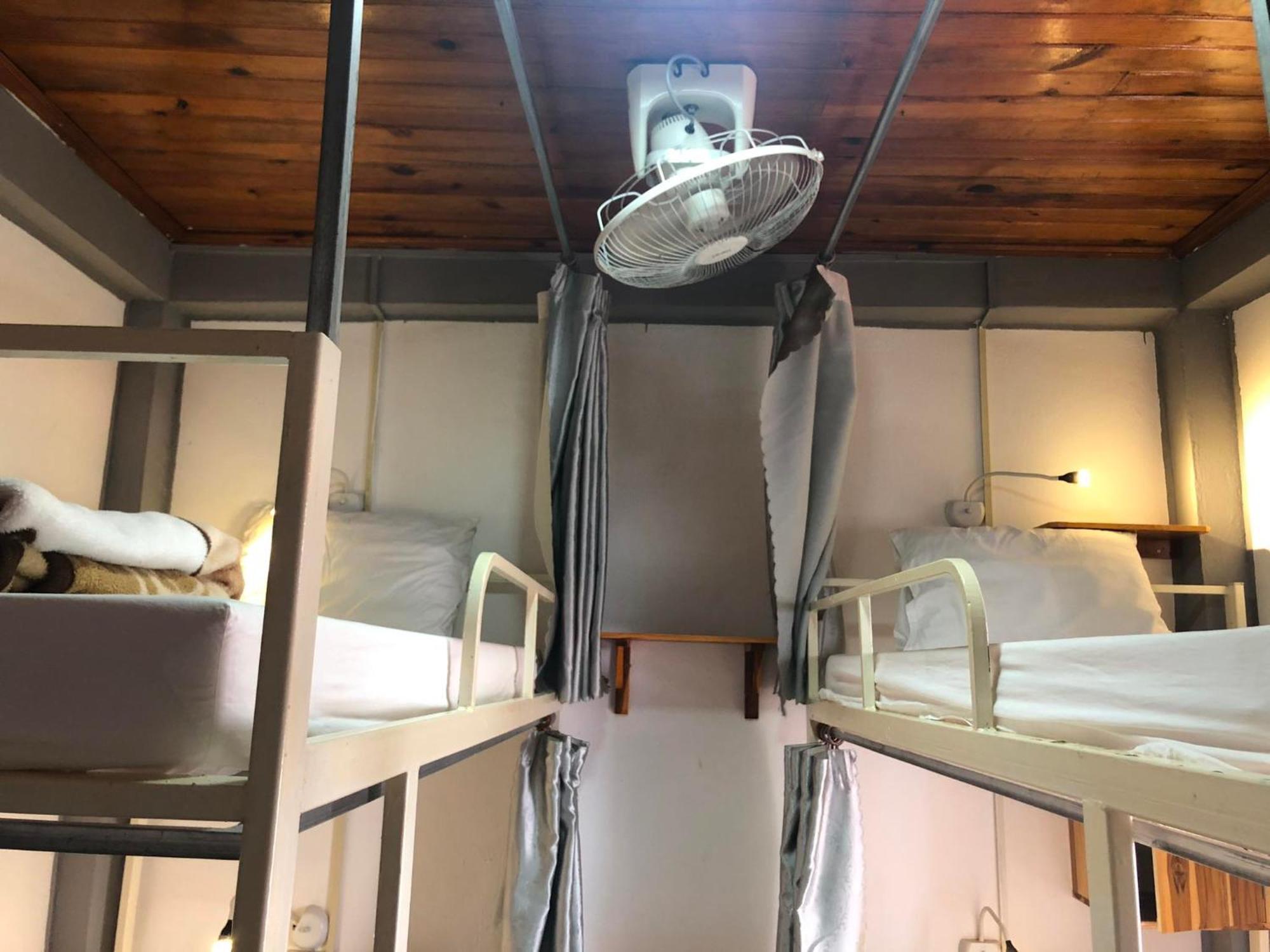 City Backpackers Center 루앙프라방 외부 사진
